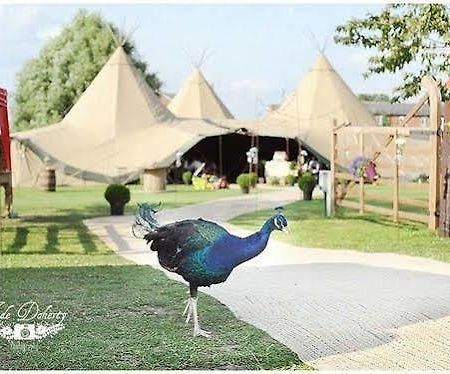 Skipbridge Farm Shepherds Huts Campground Green Hammerton Eksteriør bilde